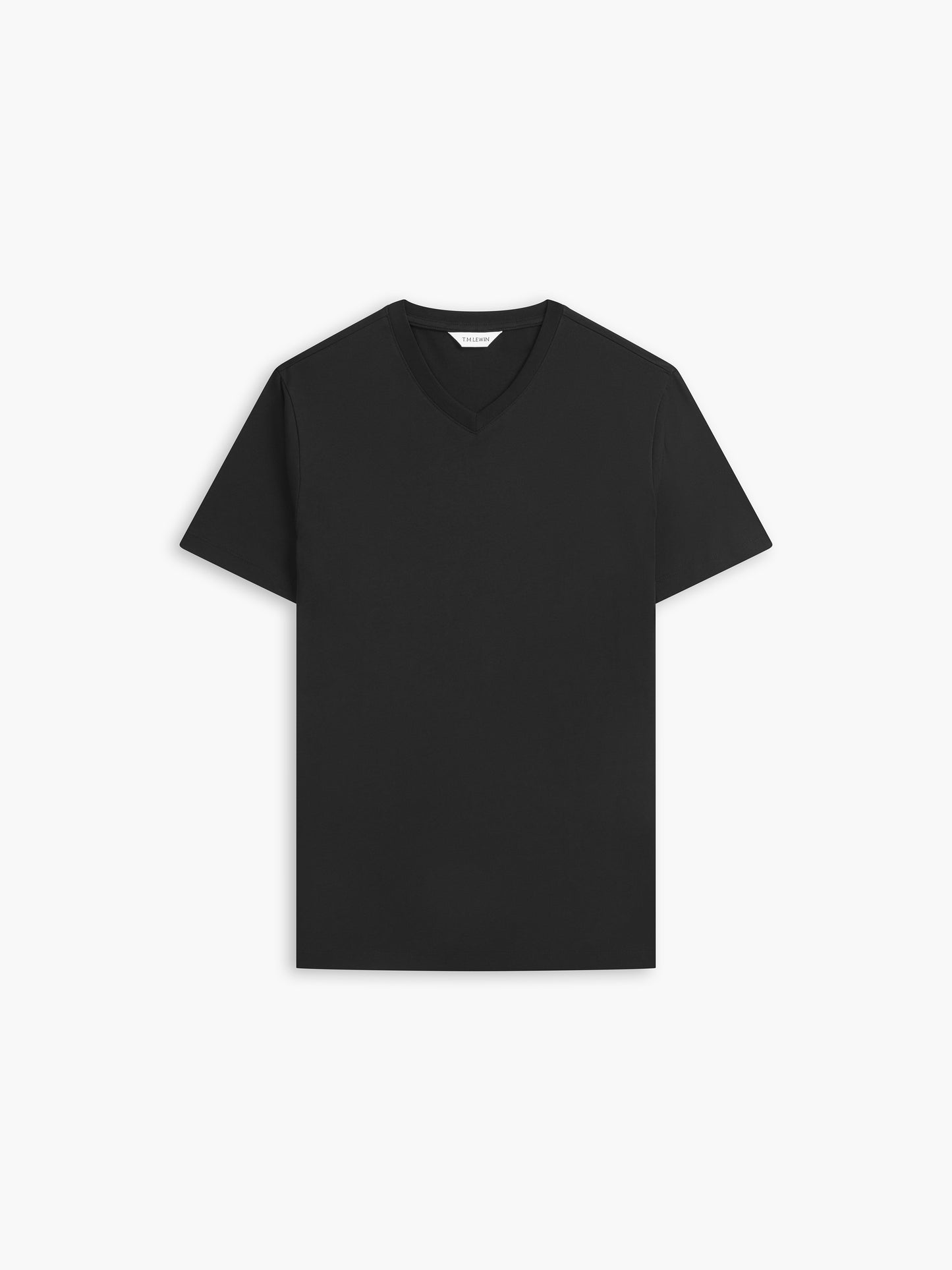 The V-Neck T-Shirt