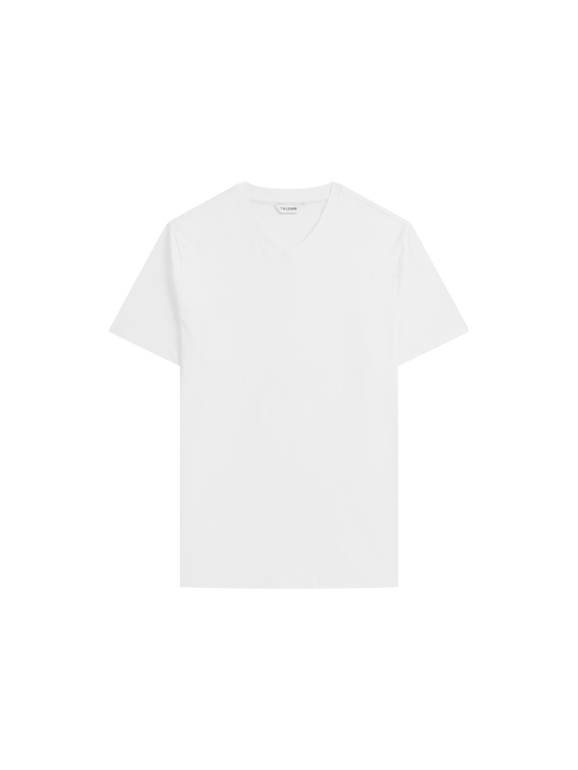 The V-Neck T-Shirt