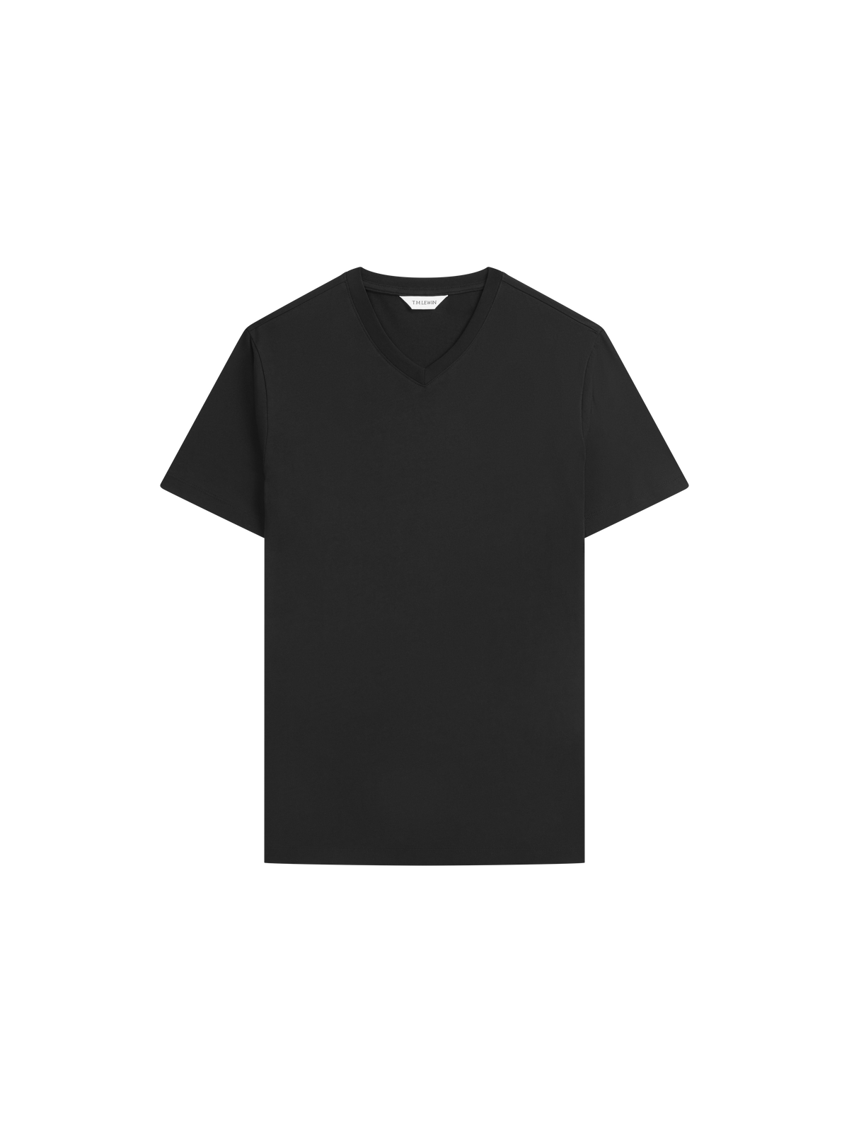The V-Neck T-Shirt