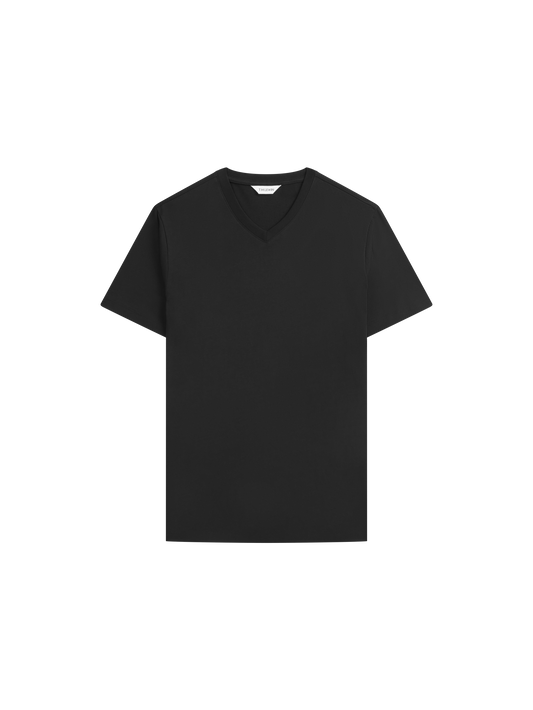 The V-Neck T-Shirt