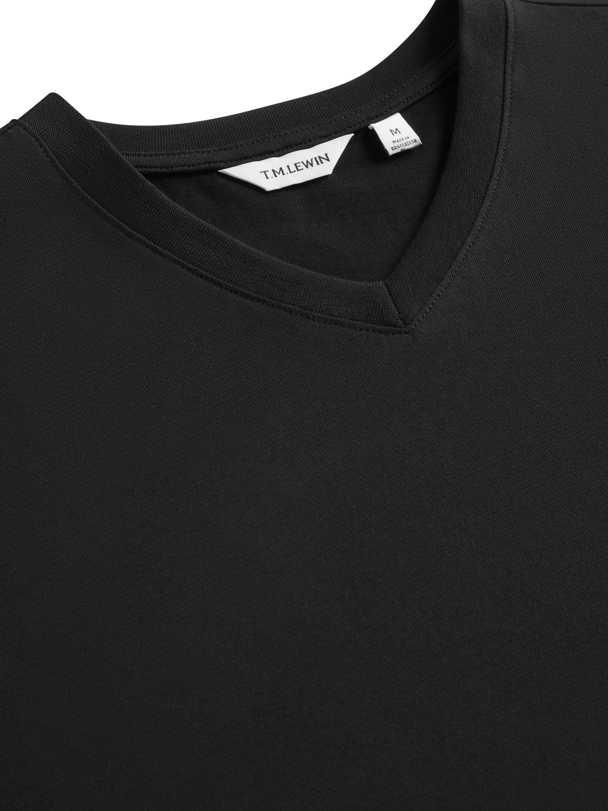 The V-Neck T-Shirt