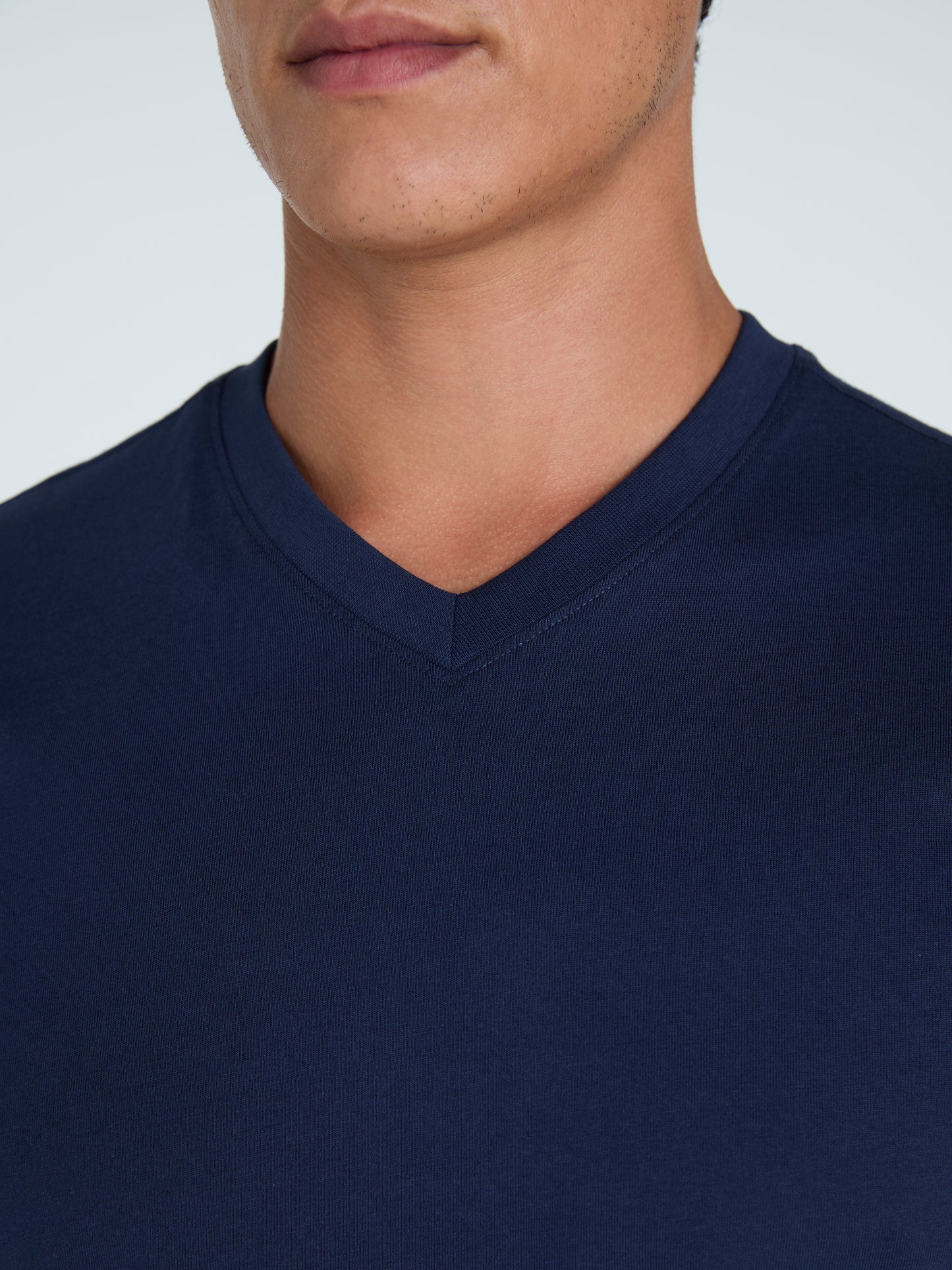 The V-Neck T-Shirt
