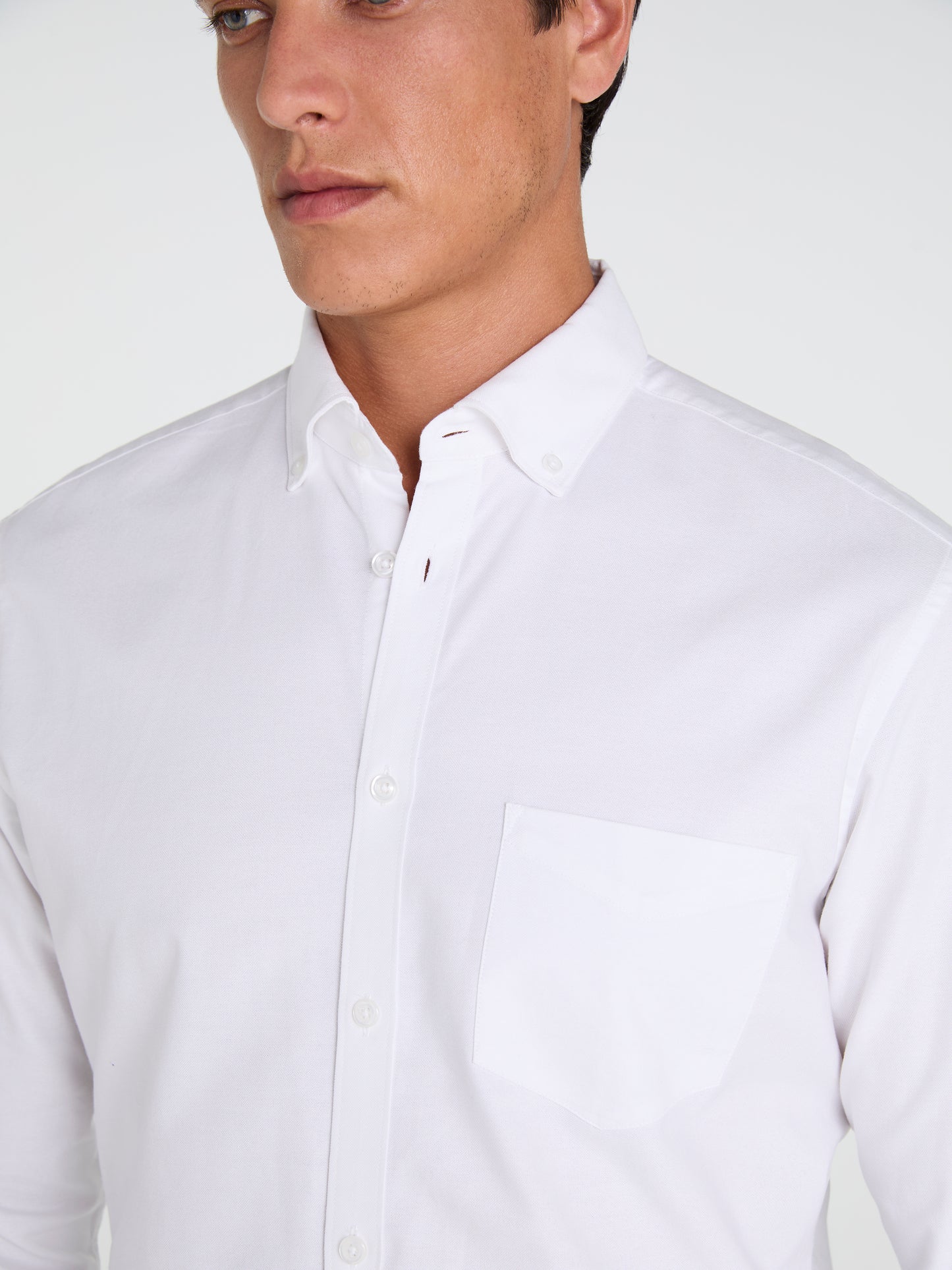 The Oxford Shirt